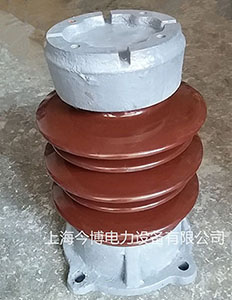 ZSW-20/3000户内外支柱绝缘子ZS-20/30高压胶装支撑绝缘子