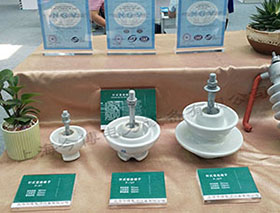 P-6T针式绝缘子P-10T P-15T P-20T户外高压线路用绝缘子绑线陶瓷