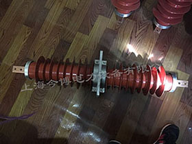 FCRG1-40.5/630A户内外高压穿墙套管35kv~40.5kv复合硅橡胶套管